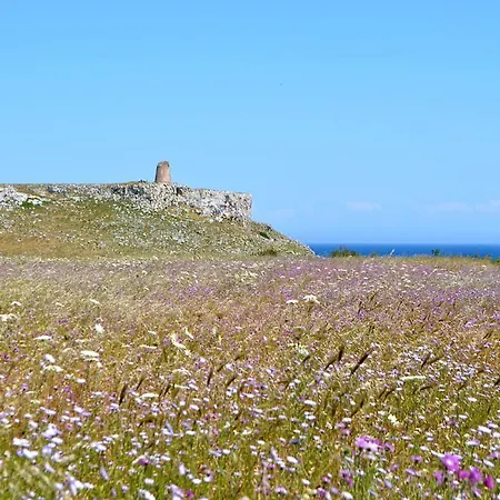 Готель типу 