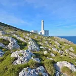 La Ozza -